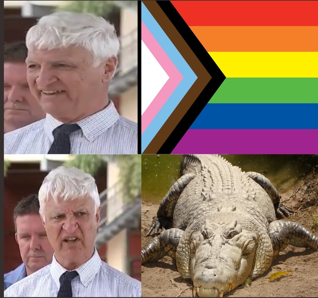 This meme is a split-screen image with a photo of a politician (Nigel Farage) on the left, looking stern and unhappy. On the right, the image is replaced with a picture of a crocodile, with the same facial expression as the politician. The text "Nigel Farage when he finds out he's gay" is written above the image, implying that the politician is shocked and upset by the news of his own sexuality.